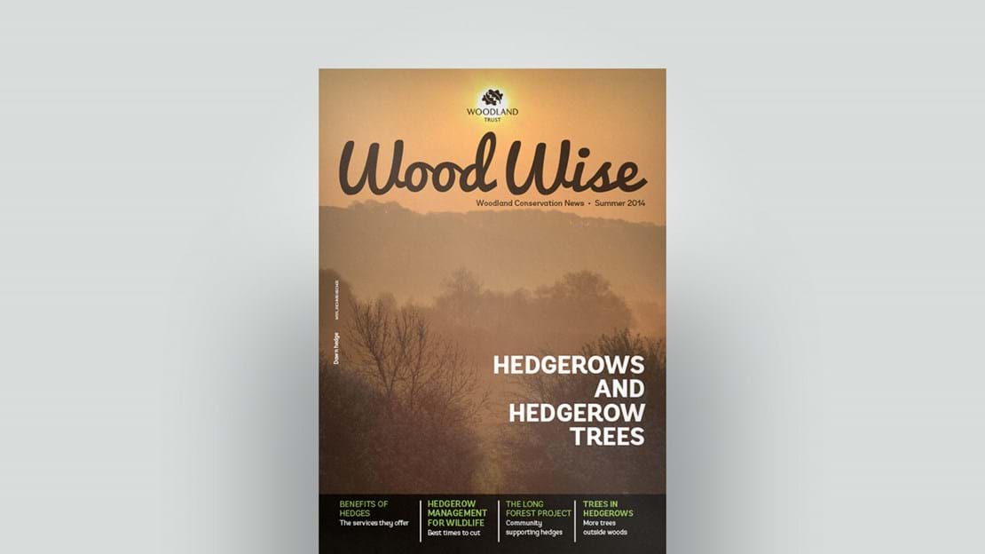 Cover of Wood Wise Summer 2014 - hedgerows