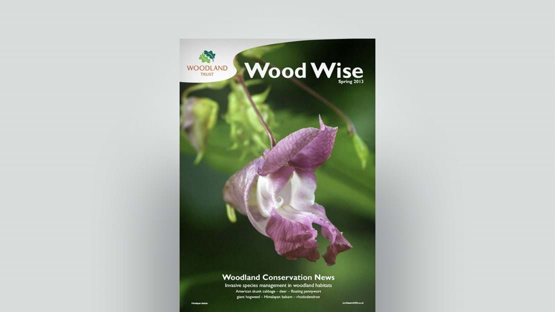 Cover of Wood Wise Spring 2013 - invasive species
