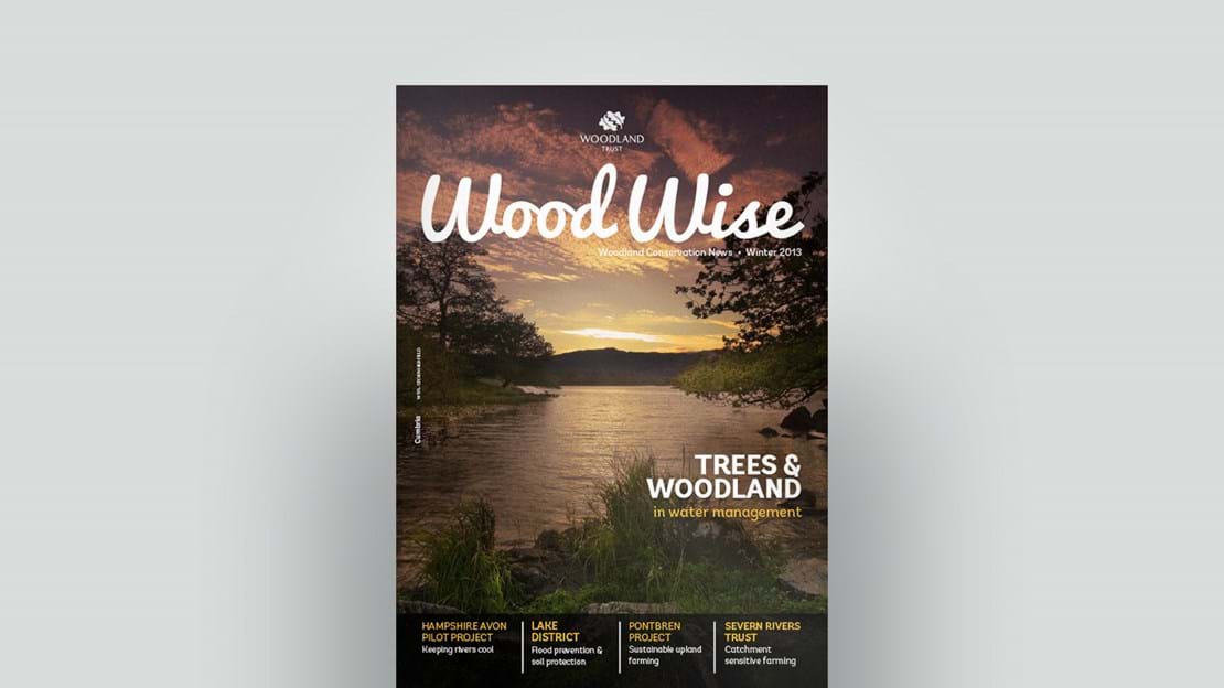 Cover of Wood Wise Winter 2013 - water management
