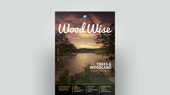 Cover of Wood Wise Winter 2013 - water management