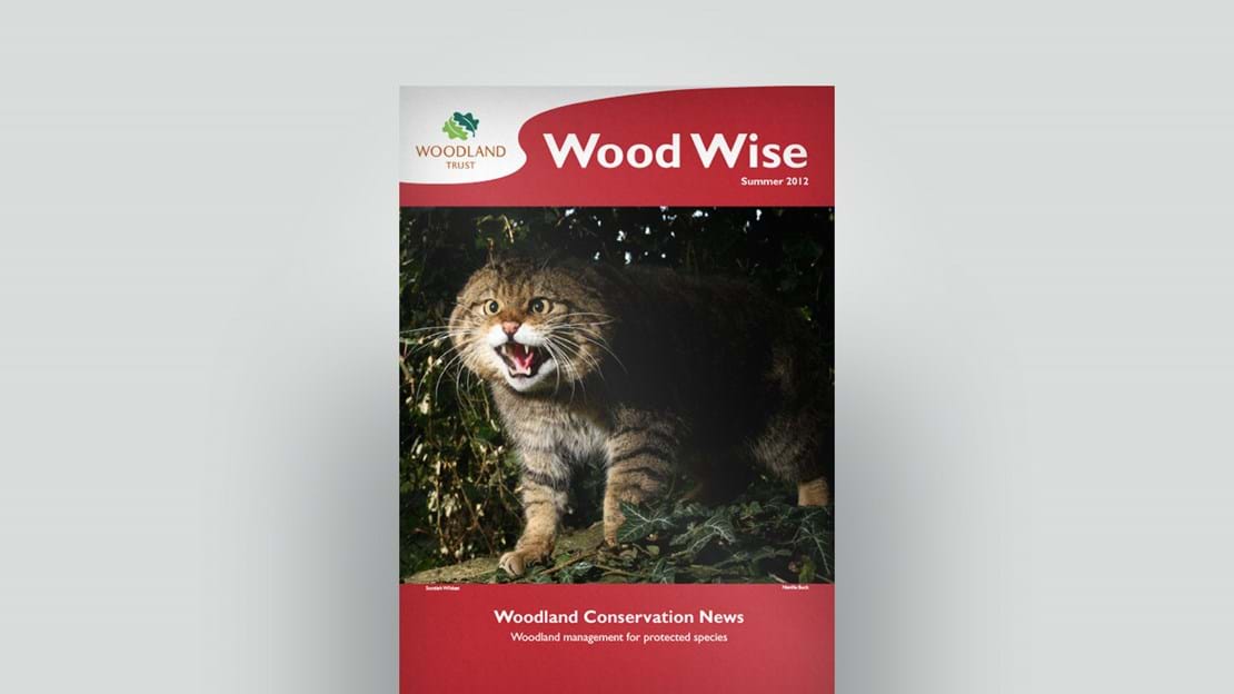Cover of Wood Wise Summer 2012 - protected species