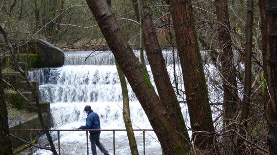 ladderedge country park woodland trust