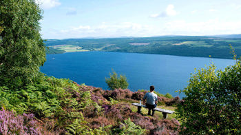 Summer's view over Loch Ness from bench in Abriachan Wood, Scotland