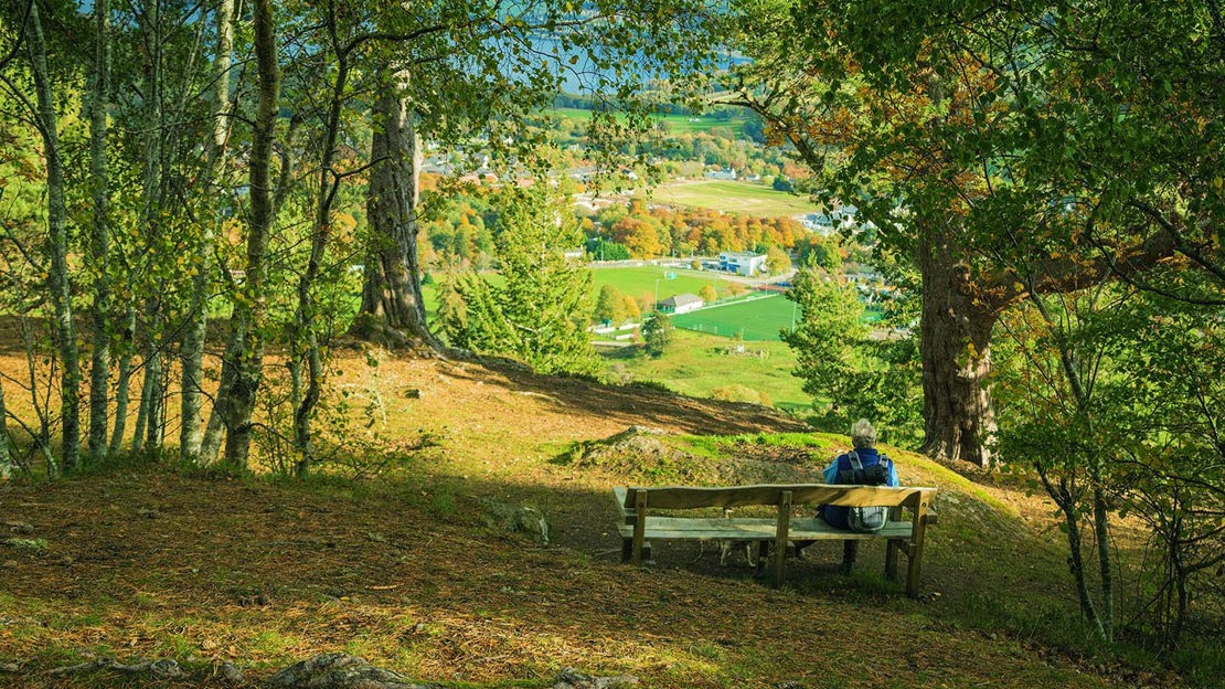 Bench with fort viewpoint, Milton Trail, Balmacaan