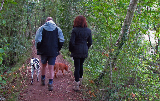 Clowes Wood and New Fallings Coppice SSSI Woodland Trust