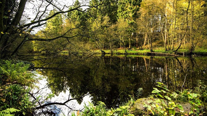 Autumn trees reflected in lake, Bilton Beck and Rudding Bottoms