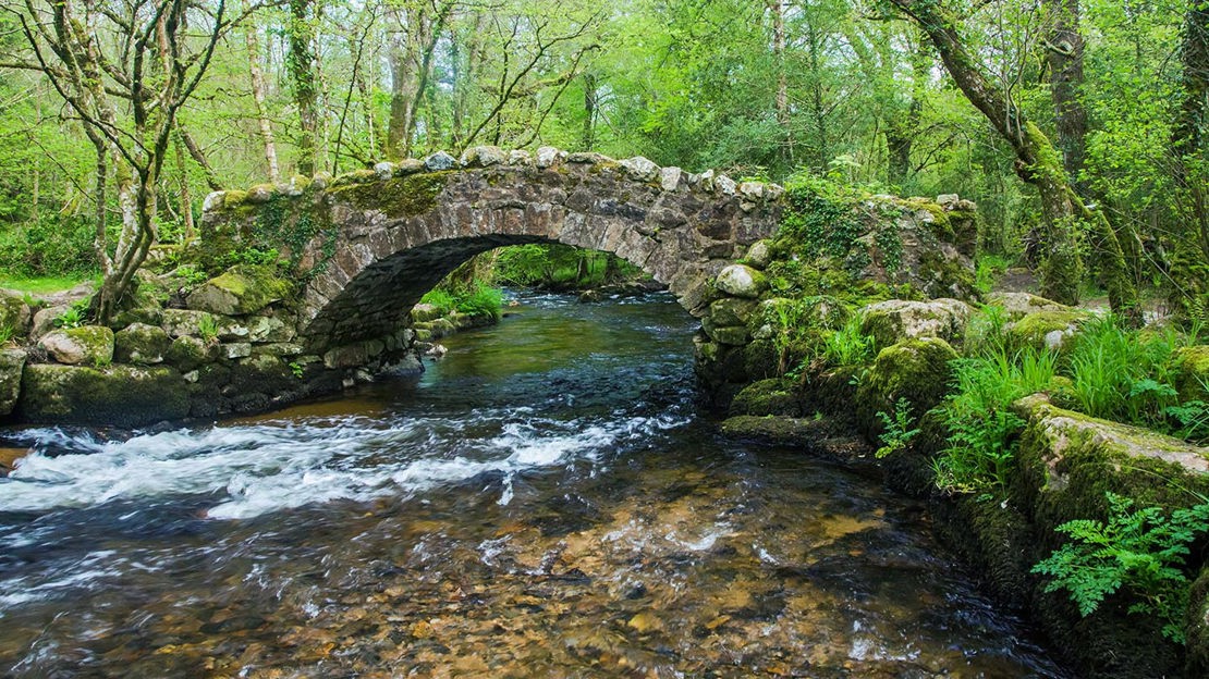 Packhorse stone bridge over river, close-up, Bovey Valley Woods