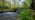 Packhorse stone bridge over river, Bovey Valley Woods