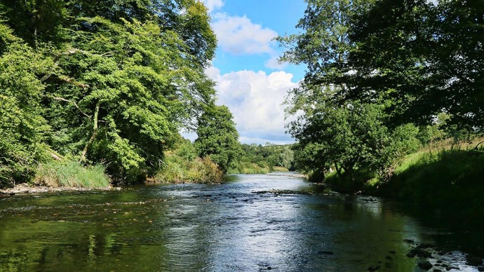River flowing through woodland, Brackfield Wood