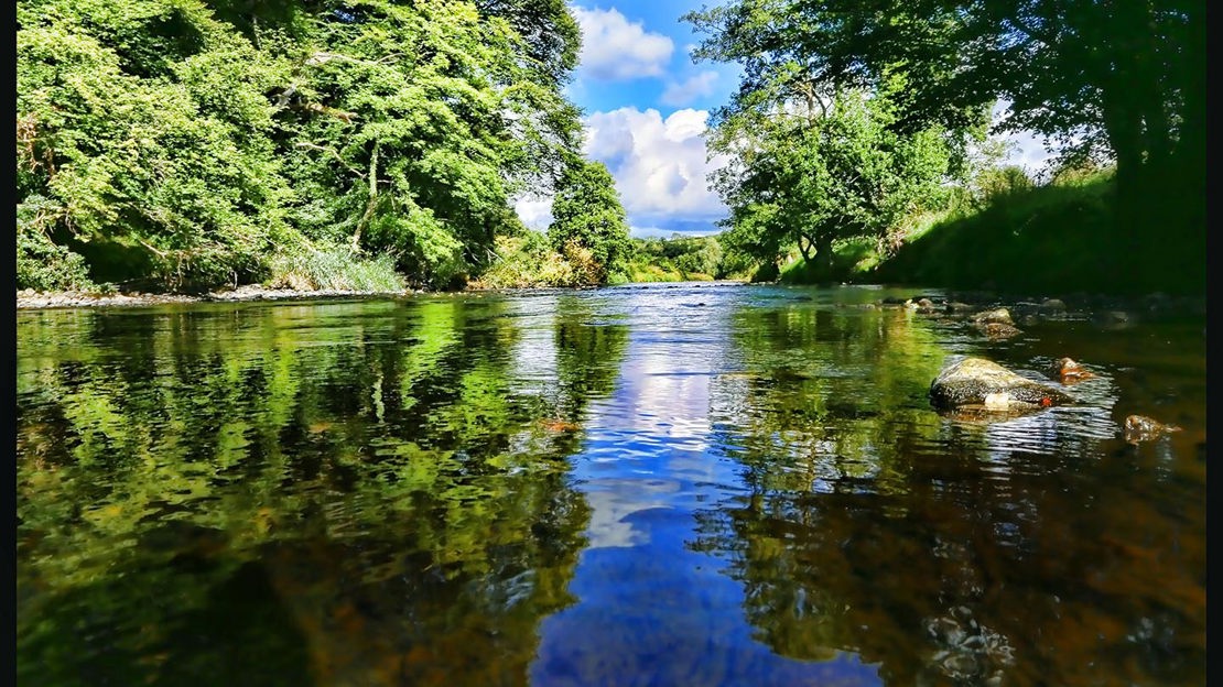 River with reflections of trees, summertime, Brackfield Wood