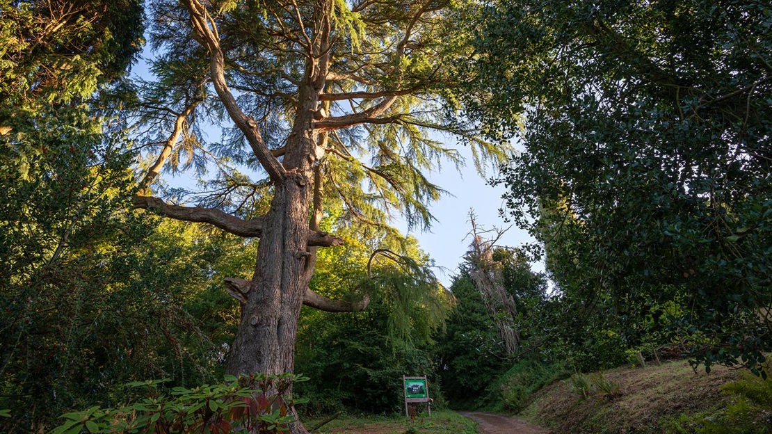 Pathway and signboard, Cefn Ila