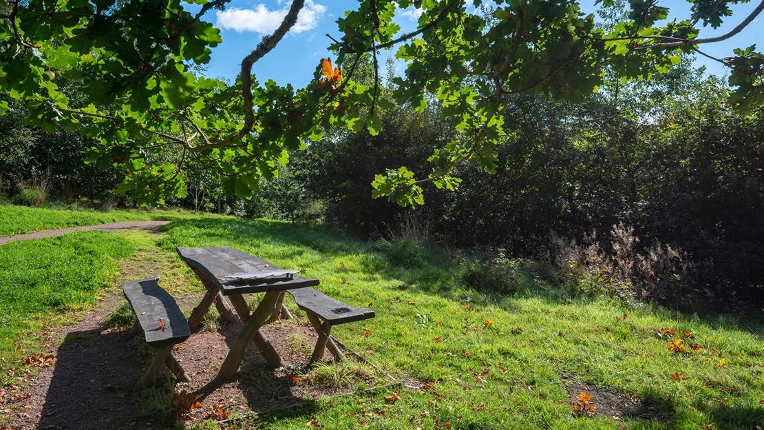 Picnic table, Cefn Ila