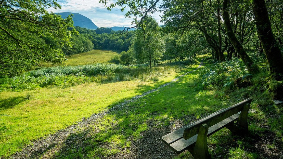 Viewpoint from bench, Coed Cymerau Isaf