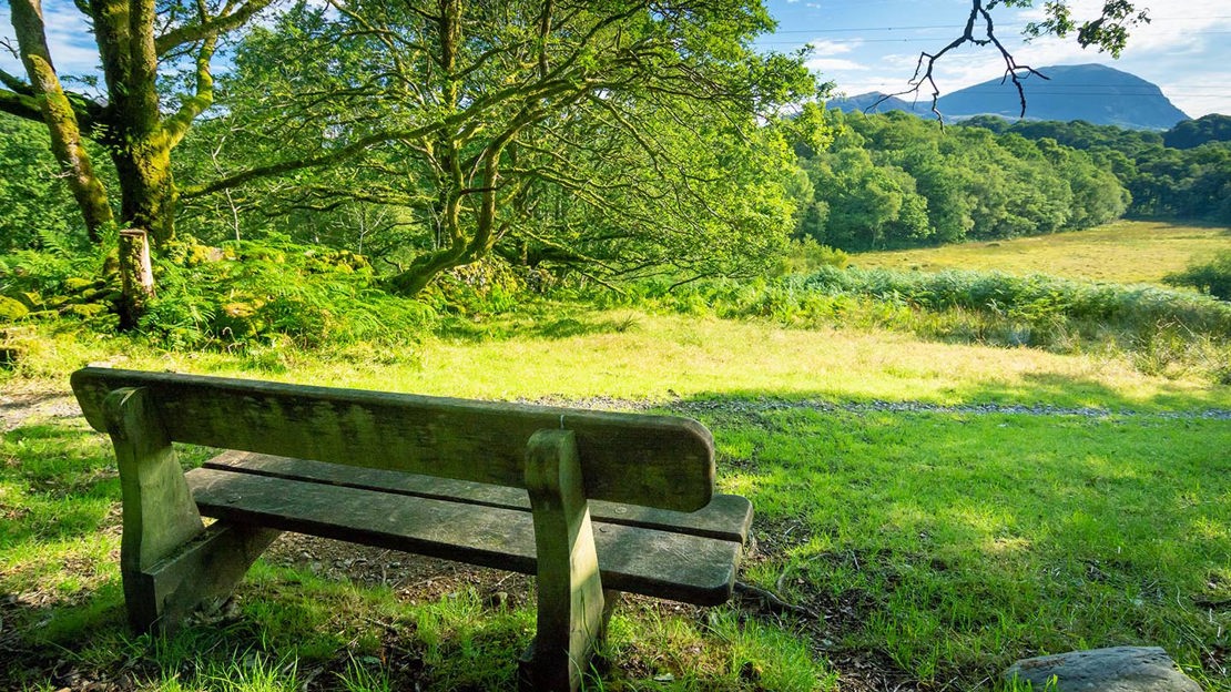 Viewpoint from bench, Coed Cymerau Isaf