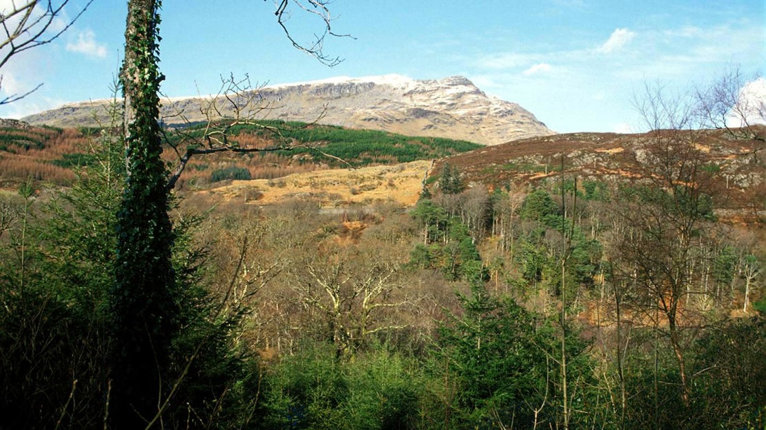 Mountain near Coed Hafod Y Llyn