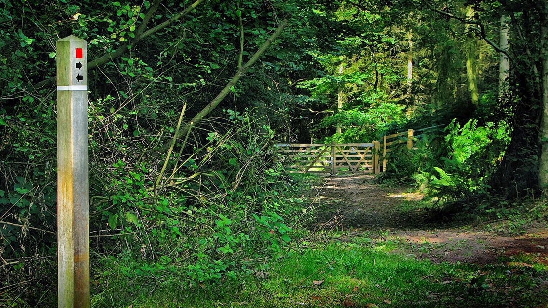 Signpost and gate, Credenhill Park Wood