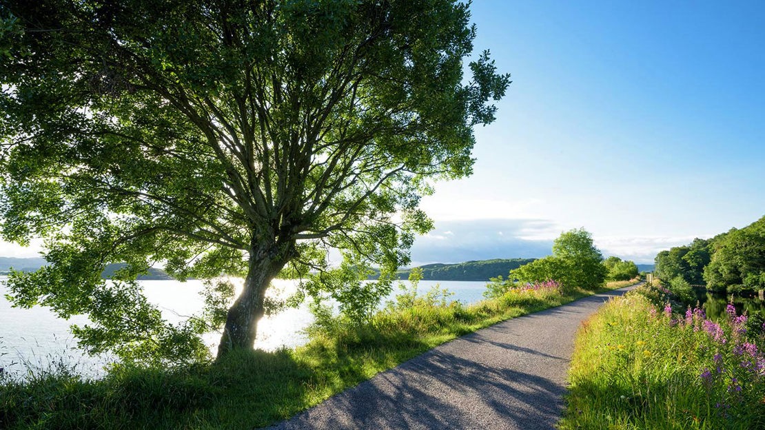 Sunlit lakeside path, Crinan Wood
