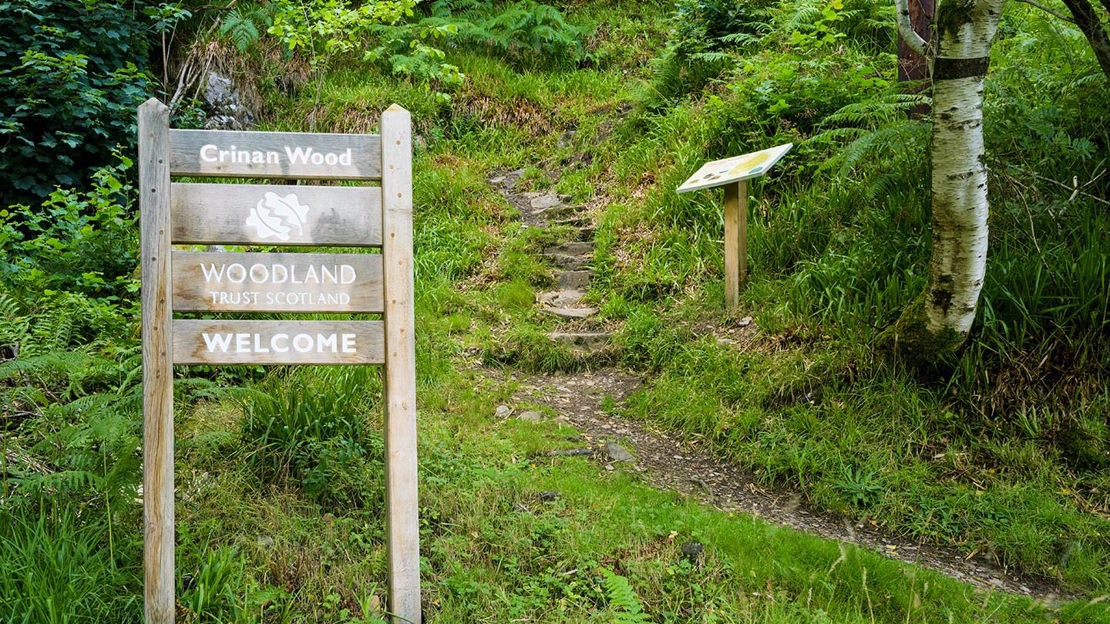 Woodland Trust welcome sign, Crinan Wood