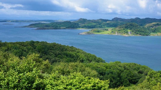 Lake in summer, Crinan Wood