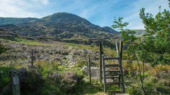 Hillside view from Cwm Mynach