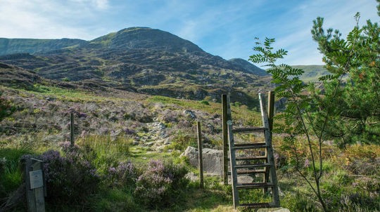 Hillside view from Cwm Mynach