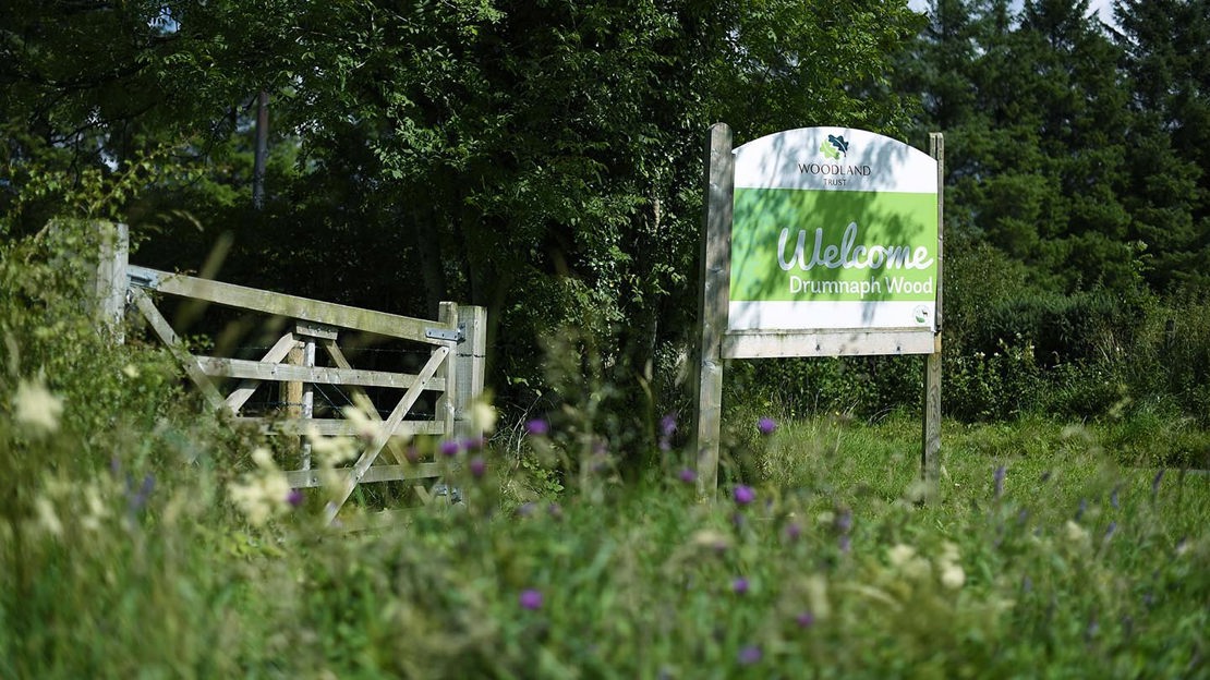 Woodland Trust Drumnaph Wood welcome sign