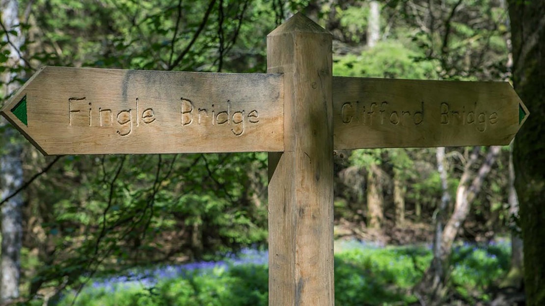 Wooden signpost, Fingle Woods