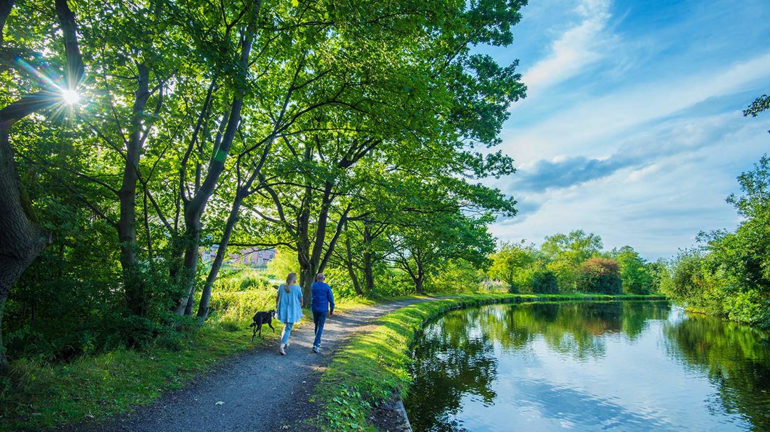 Dog walkers, Fountains Wood
