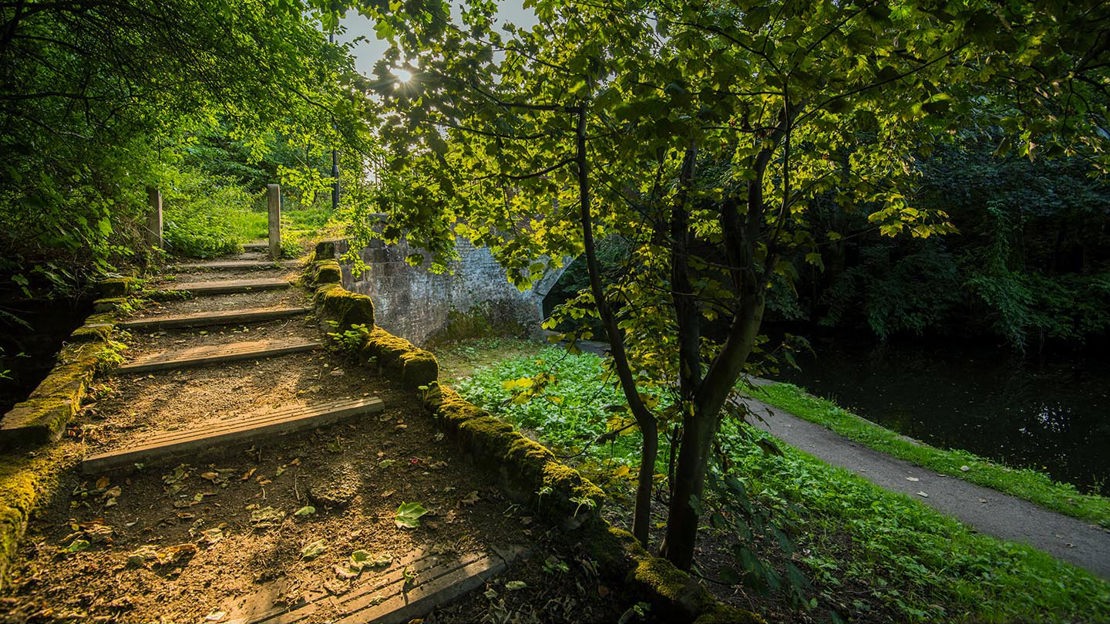 Steps down to canal, Fountains Wood