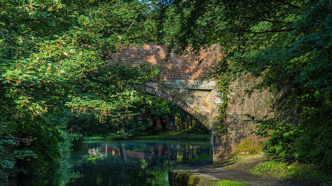 Canal bridge and overhanging trees, Fountains Wood