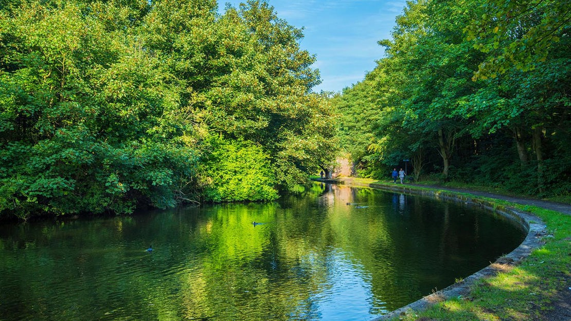 Curve of canal, Fountains Wood