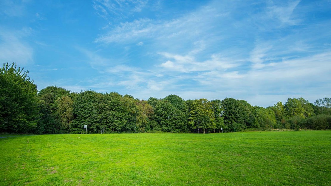 Grassland, Fountains Wood