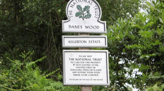 Killerton Estate - Ashclyst Forest - Woodland Trust