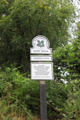 Killerton Estate - Danes Wood - Woodland Trust