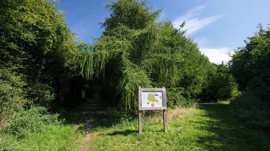 Woodland Trust Foxley Wood site guide sign,