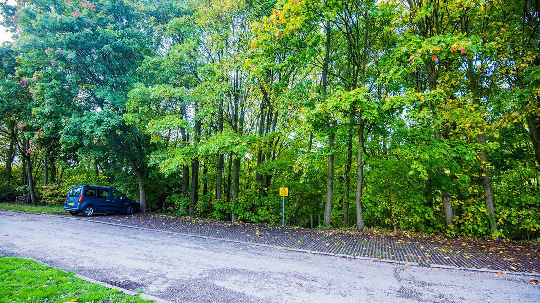 Car park, Haddocks Wood