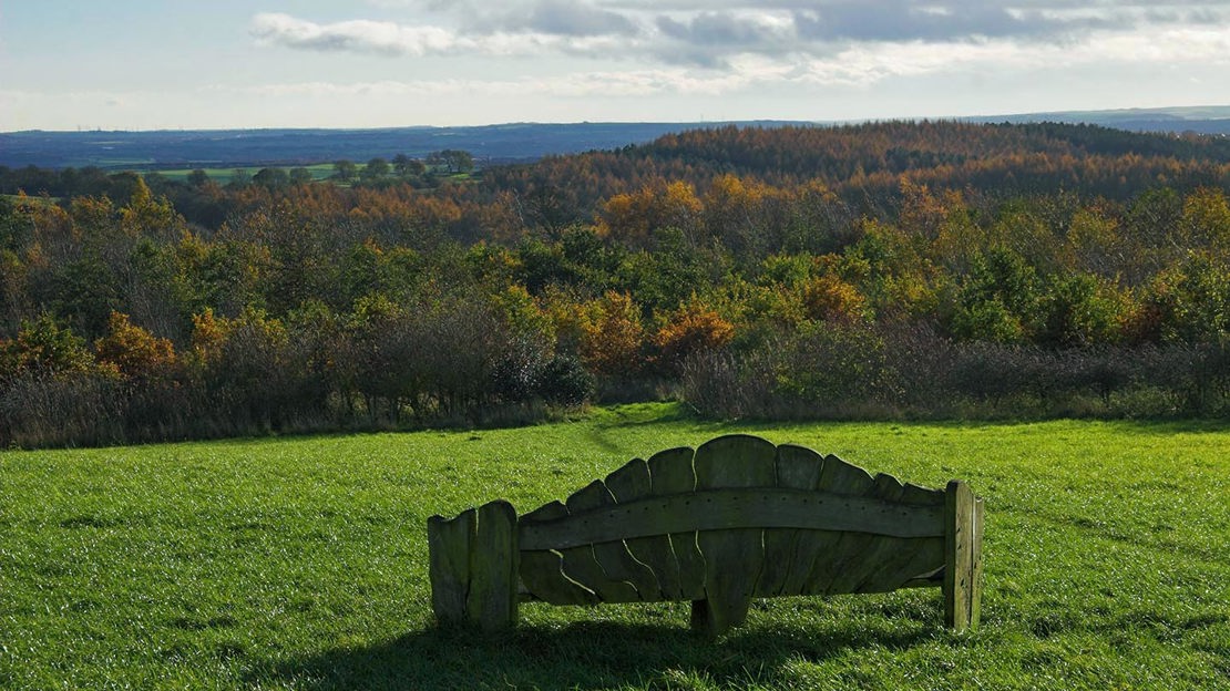 Bench with view over Hedley Hall