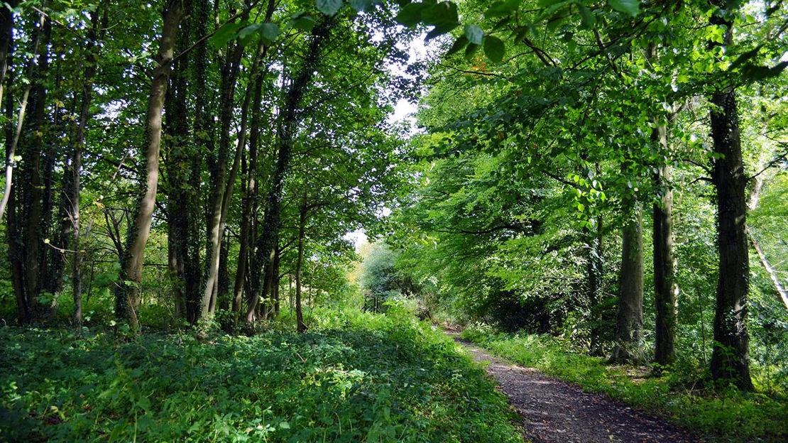 Path through Home Farm