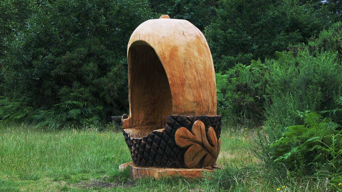 Penn Wood Visiting Woods Woodland Trust