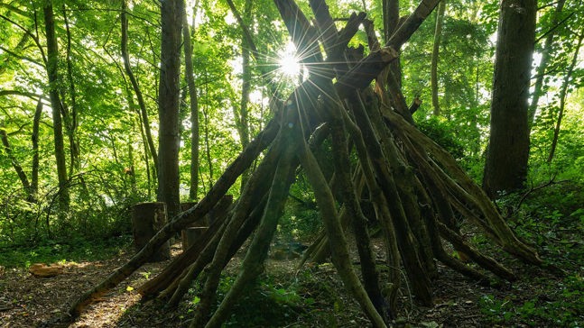 Den Shape How to Build a Den - Kids' Outdoor Activity - Woodland Trust