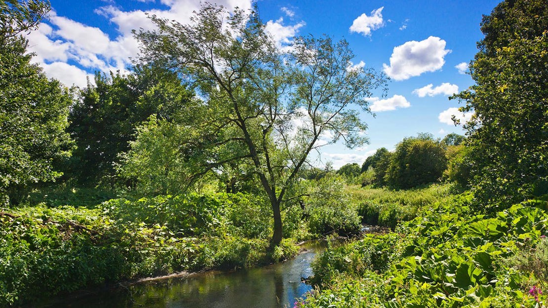 Stream flowing through Low Burnhall