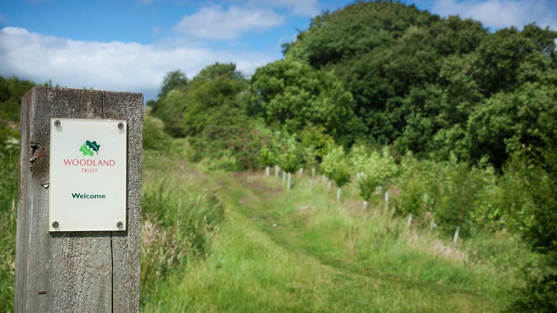 Woodland Trust welcome post, Low Burnhall