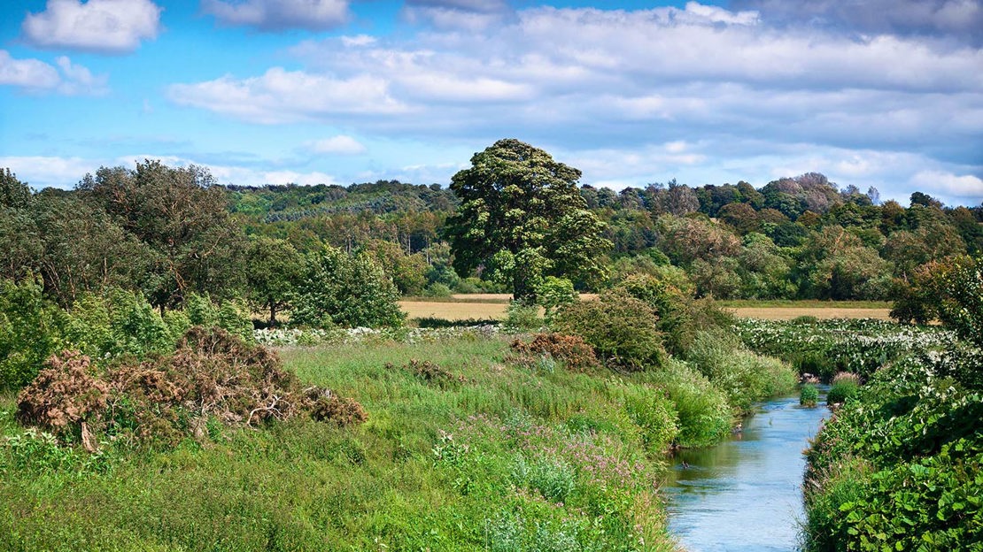 Stream flowing through grassland, Low Burnhall
