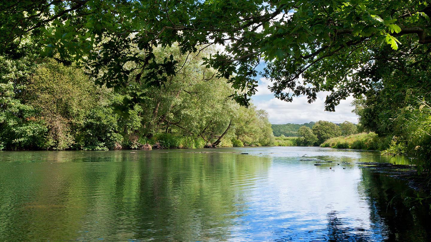 Low Burnhall Visiting Woods Woodland Trust