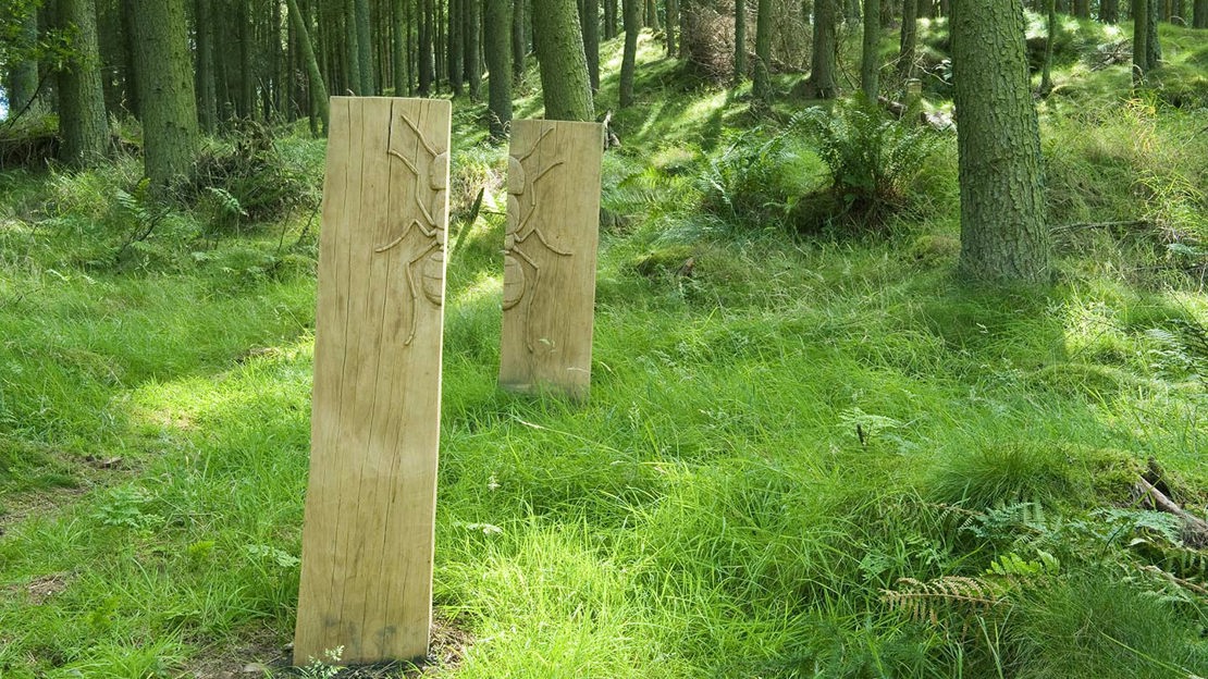 Carved wooden posts, Moncreiffe Hill