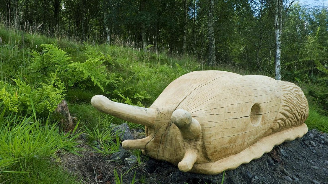 Carved wooden slug, Moncreiffe Hill