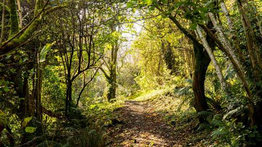 Life joint membership