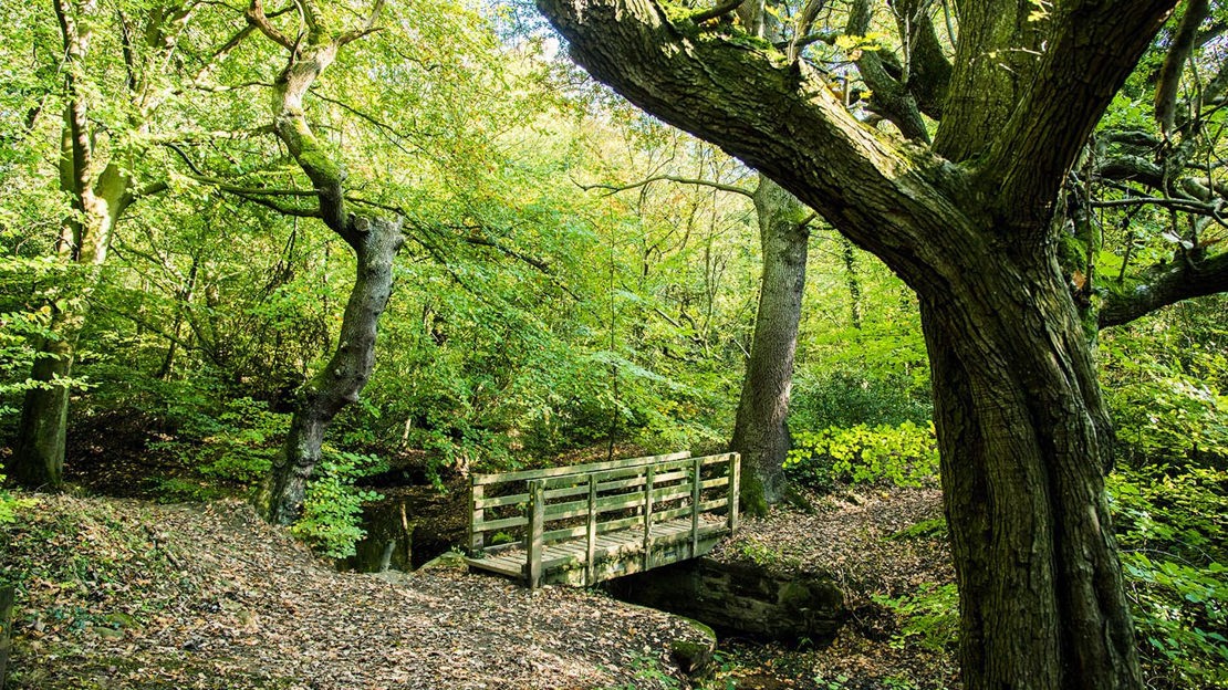 Wooden bridge over stream, Nor Wood, Cook Spring & Owler Car