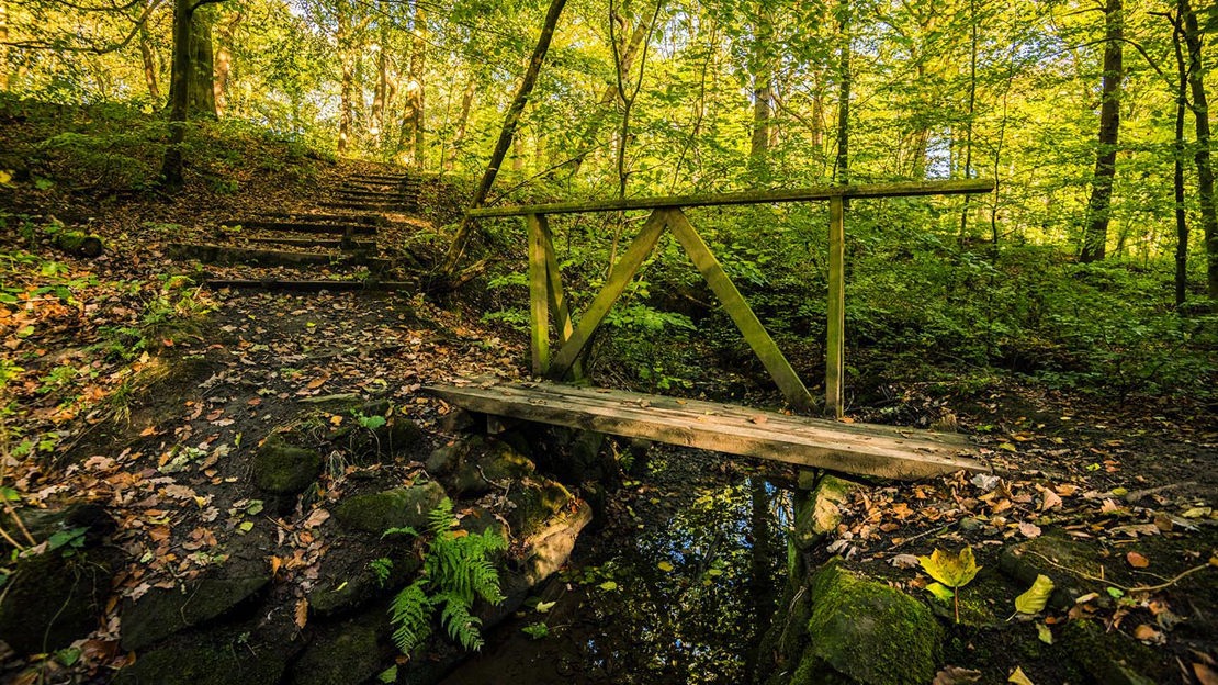 Wooden bridge over stream, Nor Wood, Cook Spring & Owler Car