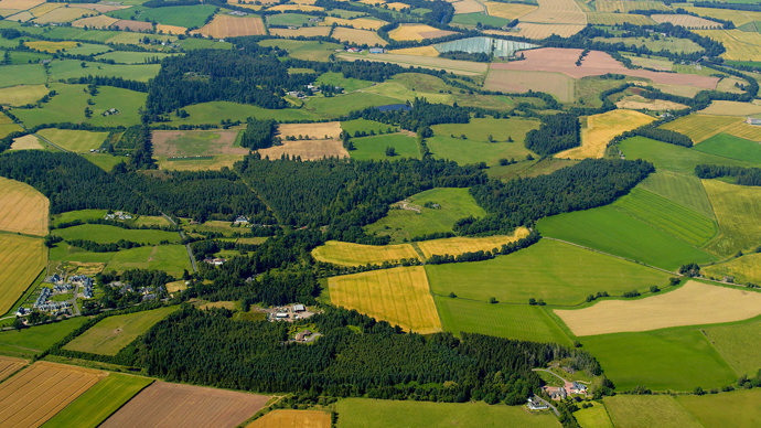 Aerial view of a woodland